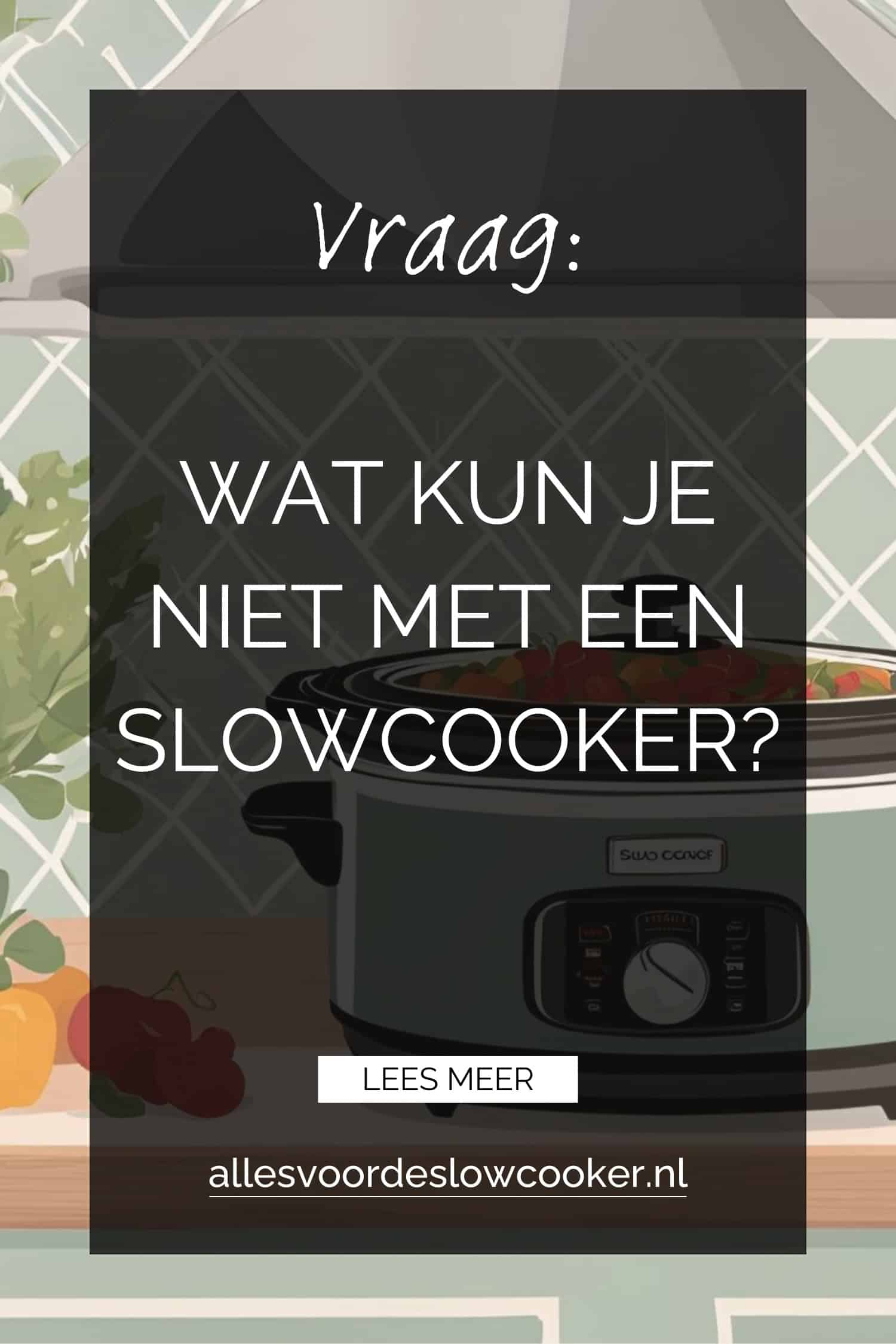 Wat kun je niet met een slowcooker Pinterest
